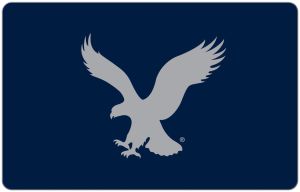 Digital - American Eagle Outfitters®